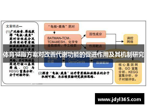 体育减脂方案对改善代谢功能的促进作用及其机制研究